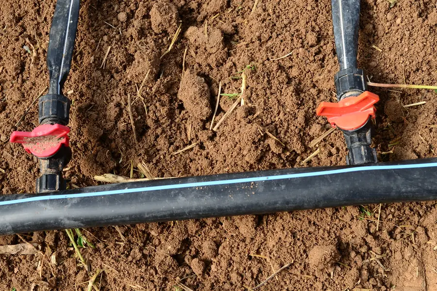 Drip fertigation, drip irrigation line with emitters delivering water-soluble fertilizer to the root zone